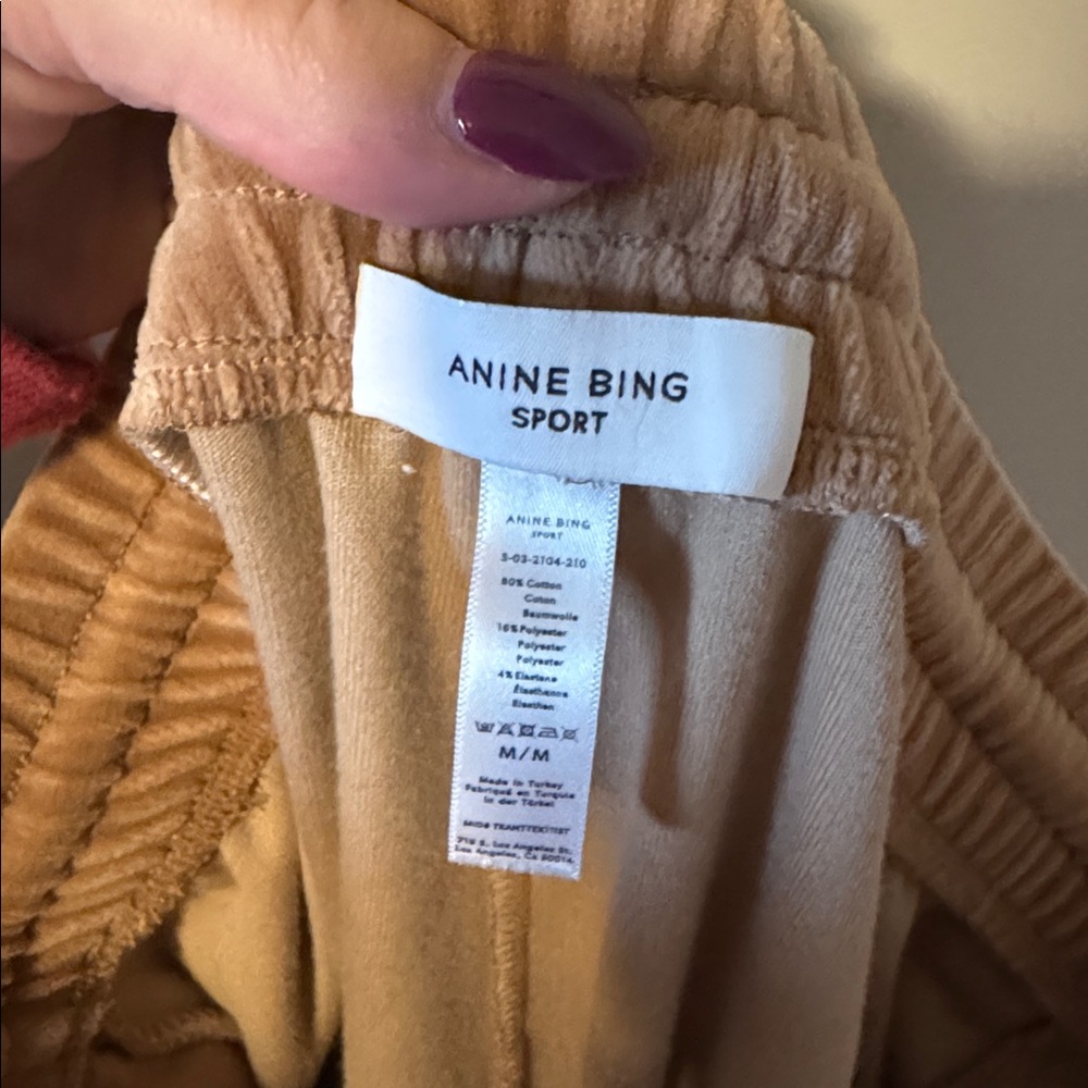 Anine Bing Sport Evan Velour Jogger - Picture 6 of 6